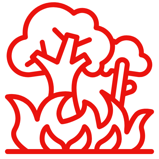 ¿Cómo prevenir incendios forestales? 