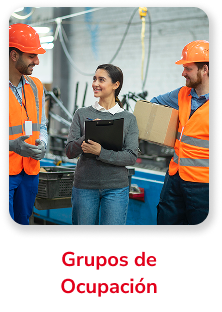 Grupos de Ocupación