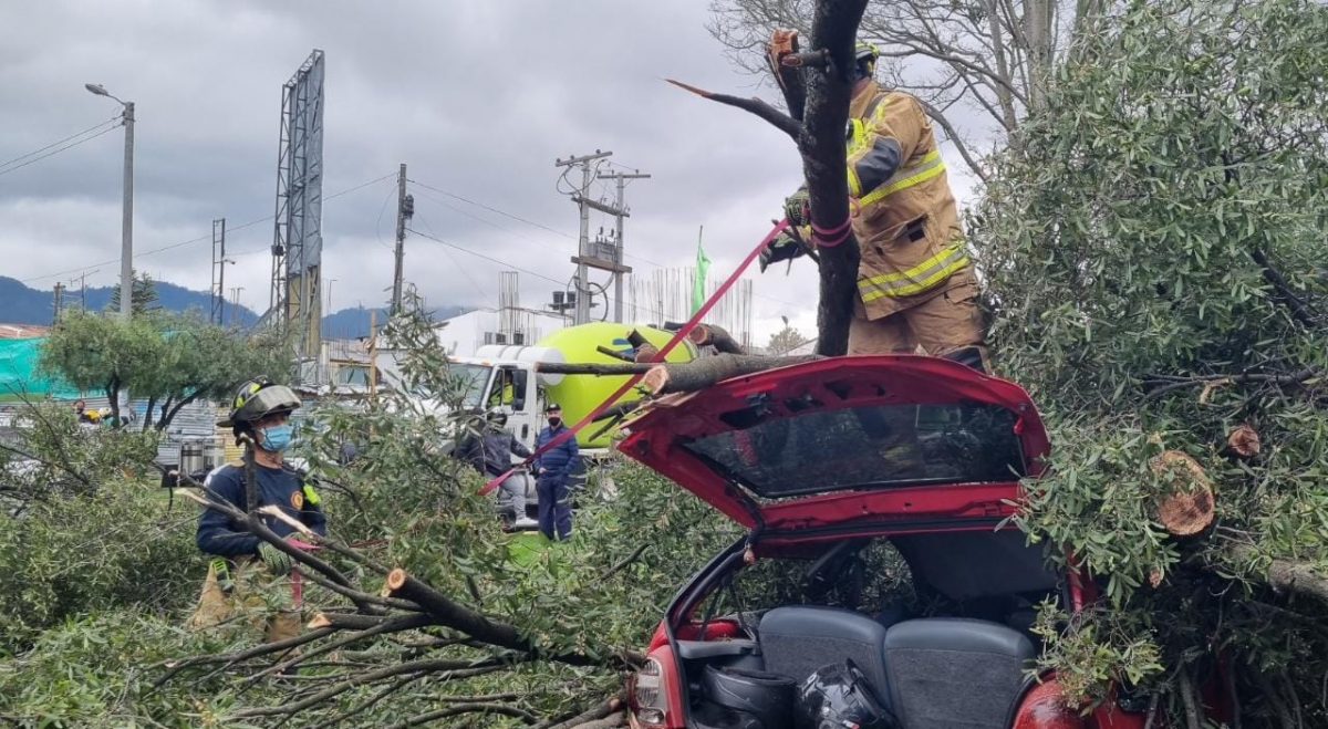 Bomberos de Bogotá realizan corte de árbol que cae sobre vehículos
