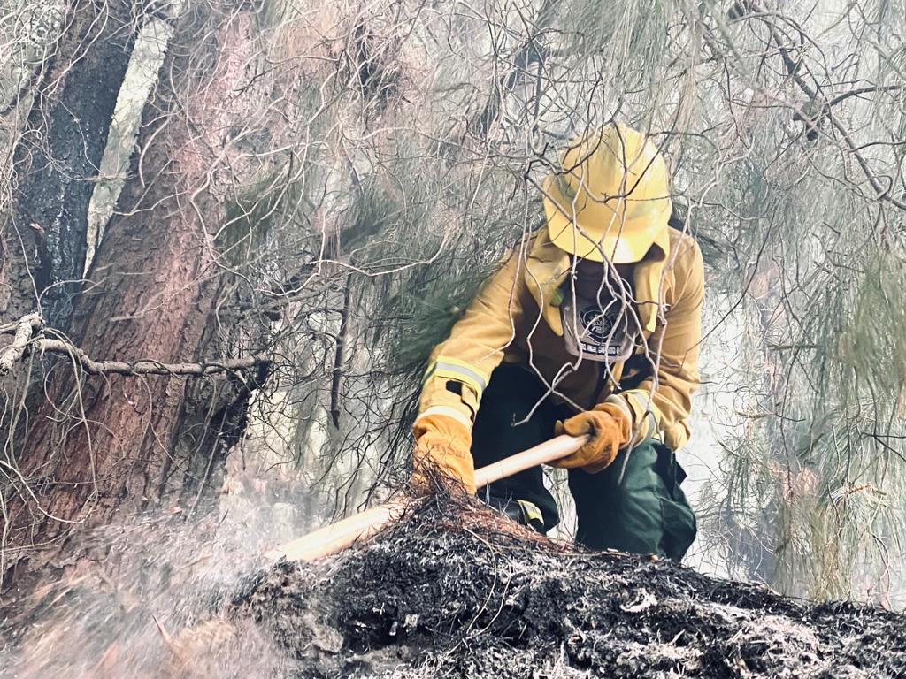 Bombero controla un incendio forestal
