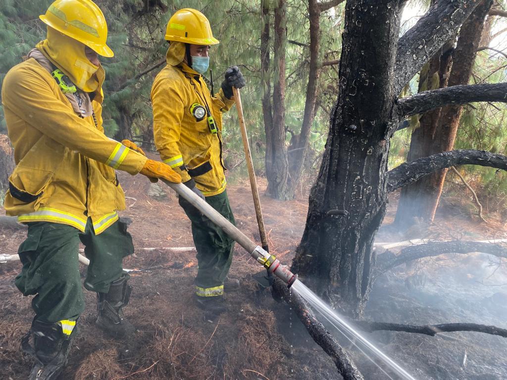 Bomberos controlan un incendio forestal