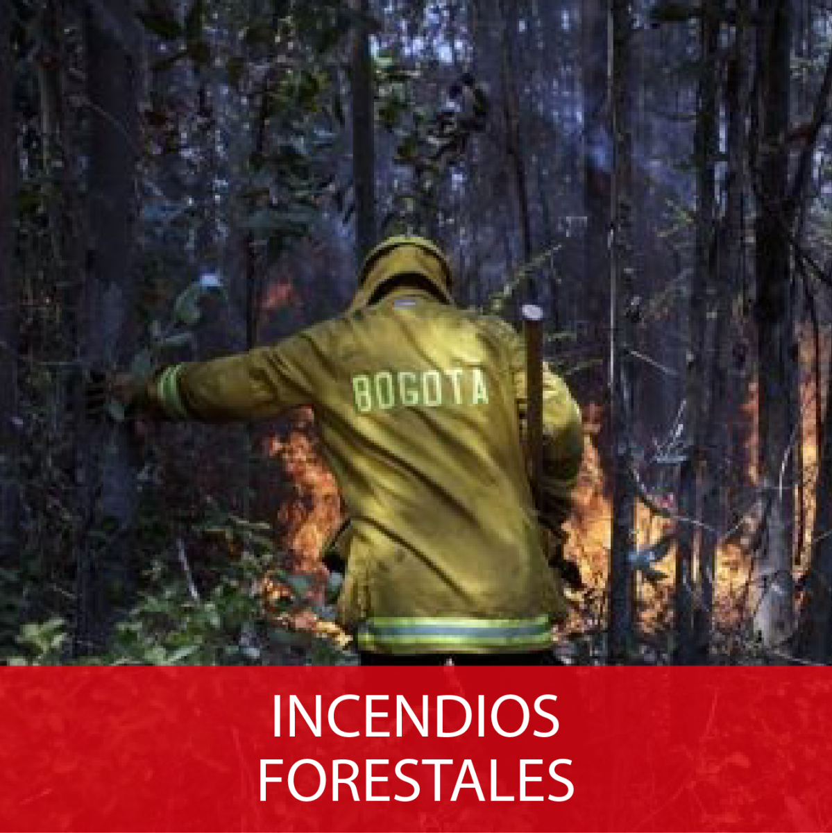 Incendios Forestales Bogotá