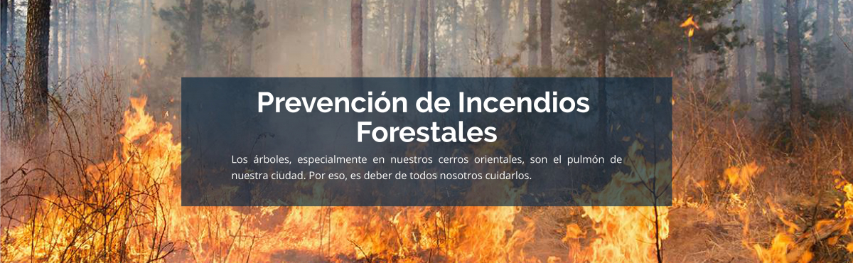 Prevención de Incendios Forestales