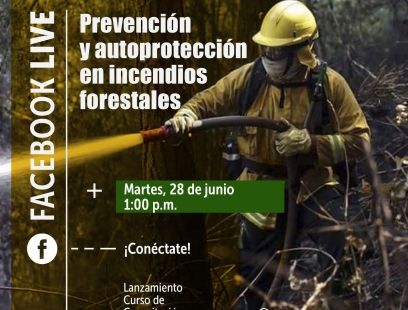 Accede a Prevención y autoprotección en incendios forestales
