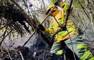 Bombero extinguiendo un incendio forestal