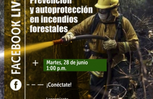 Accede a Prevención y autoprotección en incendios forestales