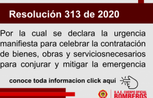 Resolución 313 de 2020