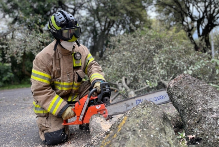 Bombero con motosierra cortando un árbol