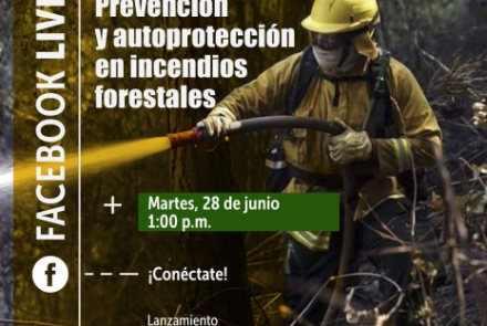Accede a Prevención y autoprotección en incendios forestales