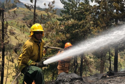 Incendios forestales, ¿Cómo prevenirlos?
